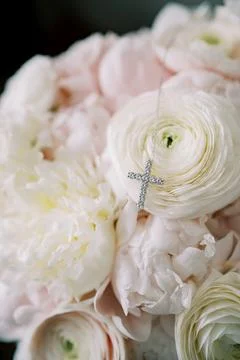 Wedding floral keepsake. Closeup of delicate blush ranunculus with romantic Stock Photos