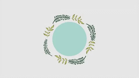 Wedding Floral Title Elements Stock Footage 169996401