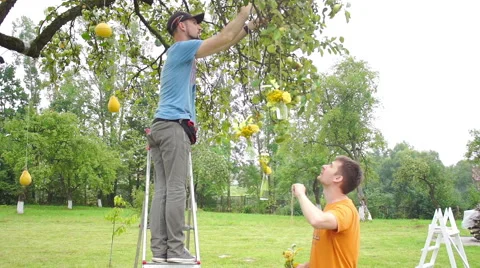 Wedding floristics in a rustic style Stock Footage 65913764
