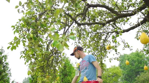 Wedding floristics in a rustic style Stock Footage 65915466