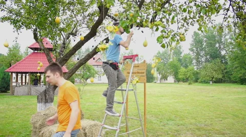 Wedding floristics in a rustic style Stock Footage 65917981