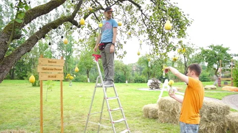 Wedding floristics in a rustic style Stock Footage 65920190