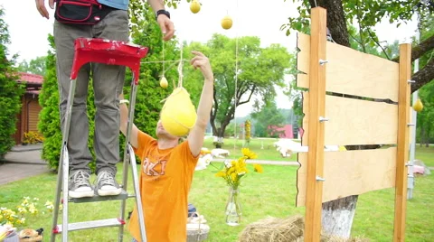 Wedding floristics in a rustic style Stock Footage 65920547