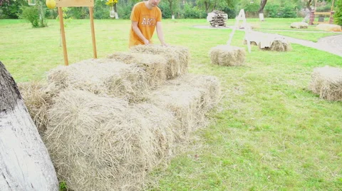 Wedding floristics in a rustic style Stock Footage 66431813