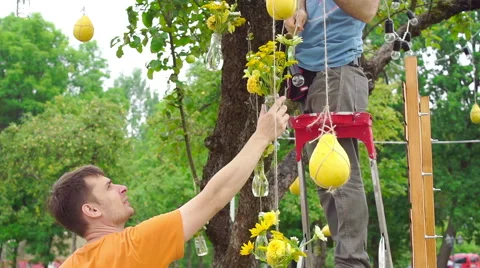 Wedding floristics in a rustic style Stock Footage 66680076