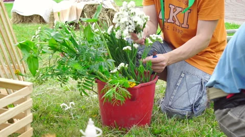 Wedding floristics in a rustic style Stock Footage 66680296