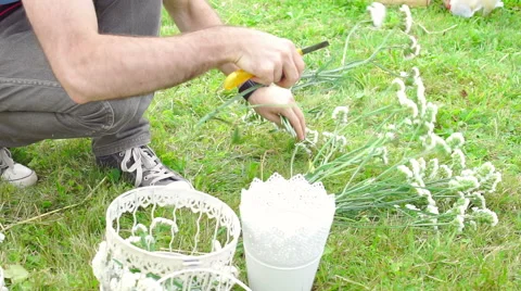 Wedding floristics in a rustic style Stock Footage 66680385