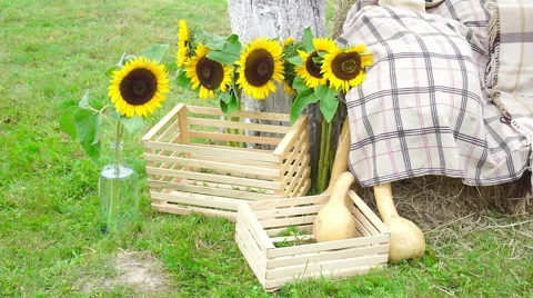 Wedding floristics in a rustic style Stock Footage 66680388