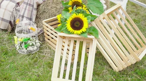 Wedding floristics in a rustic style Stock Footage 66680438