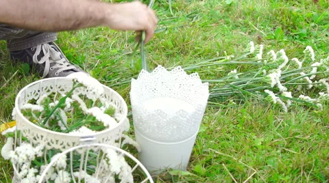 Wedding floristics in a rustic style Stock Footage 67501335