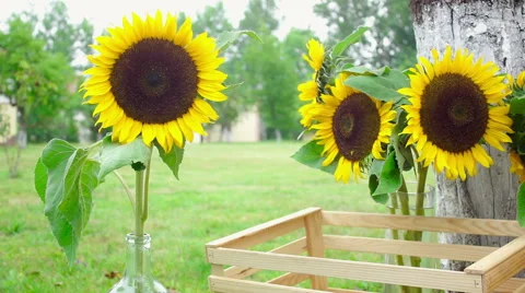 Wedding floristics in a rustic style Stock Footage 67503387