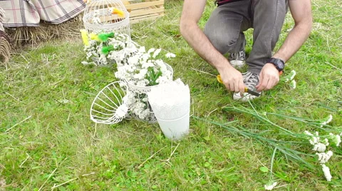 Wedding floristics in a rustic style Stock Footage 67503458