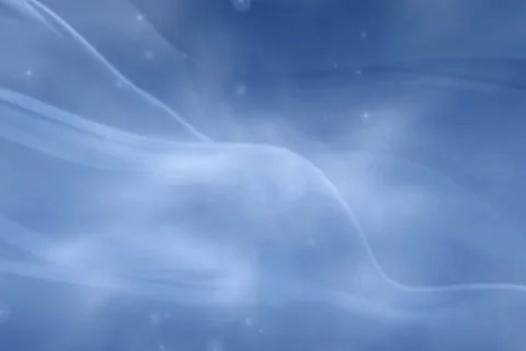 Wedding Flow Blue Background Widescreen Stock Footage 10874934