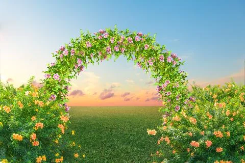 Wedding flower arch Stock Photos