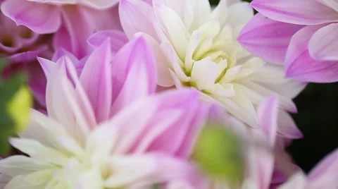 Wedding flower decoration macro Video stock 61877792