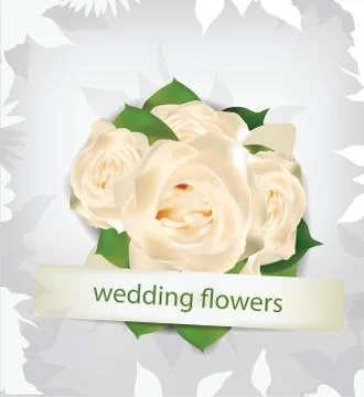 Wedding flowers background 스톡 일러스트
