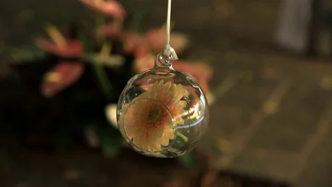 Wedding flowers decorations Stock Footage 81471570