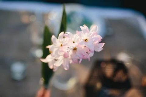 Wedding Flowers Stock Photos