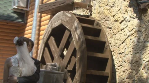 Wedding Stock Footage 988295