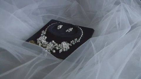 Wedding Stock Footage 1039270