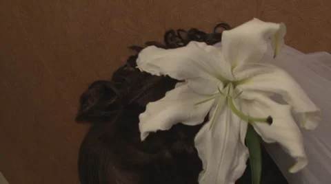 Wedding Stock Footage 1052690