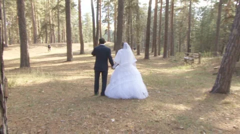 Wedding Stock Footage 2145122