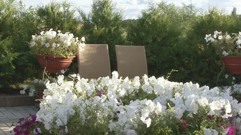 Wedding Stock Footage 2147831