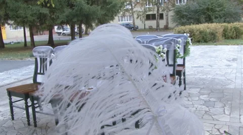 Wedding Stock Footage 2156289