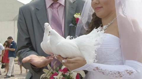 Wedding Stock Footage 2706899