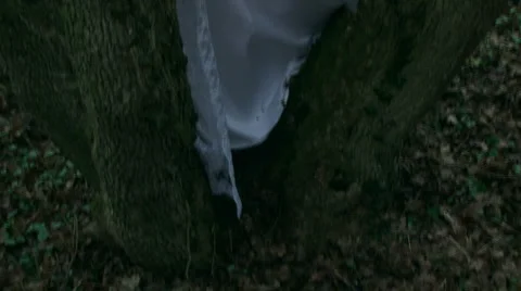 Wedding Stock Footage 4284161