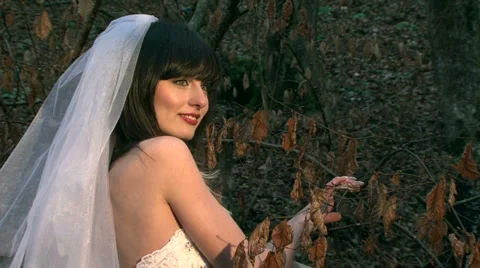 Wedding Stock Footage 4290965