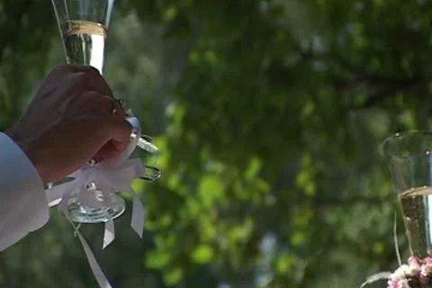 Wedding Stock Footage 8918344