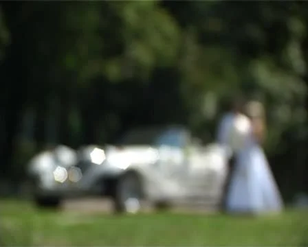 Wedding Stockbeeldmateriaal 8918380