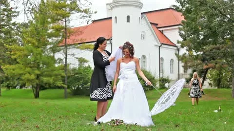 Wedding Stock Footage 24673088