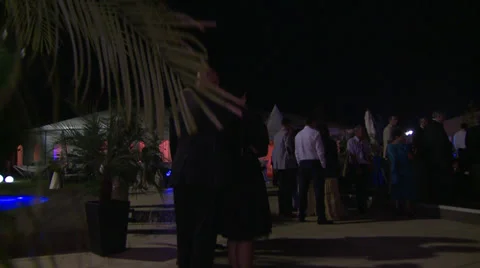 Wedding Stock Footage 32117121