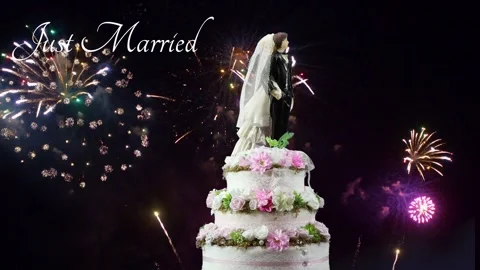 WEDDING Stock Footage 289505837