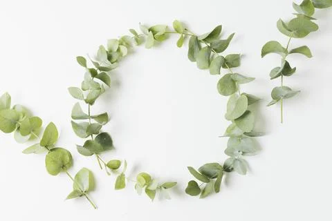 Wedding frame made with leaves isolated white background. Resolution and high Stock Photos