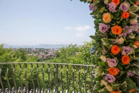 Wedding garden Stock Photos