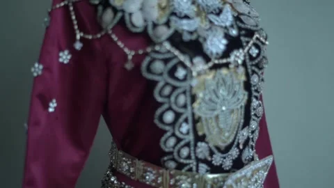 Wedding Gown for bride party Stock Footage 341010085