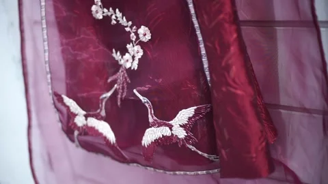 Wedding Gown for bride party Stock Footage 341102078