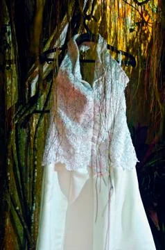 Wedding gown Stock Photos