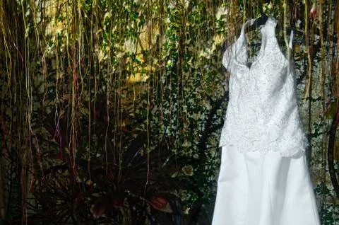 Wedding gown Stock Photos