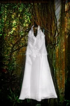 Wedding gown Stock Photos