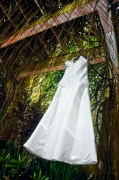 Wedding gown Stock Photos
