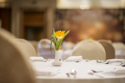 Wedding hall or other function facility set for fine dining Stock Photos