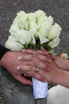 Wedding holding hands Stock Photos