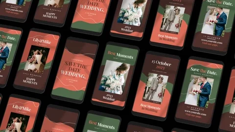 After Effects Template: Wedding Instagram Reels #252256129