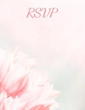 Wedding invitation card, save the date, RSVP, pink tulips, standart size A6.  Stock Photos