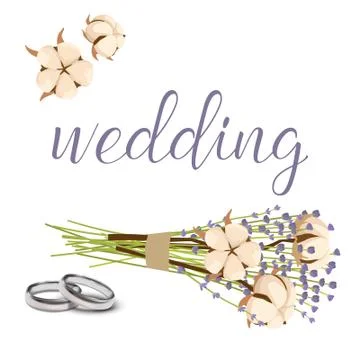 Wedding invitation elements, vector illustration. Winter card design with cotton Stock Illustration