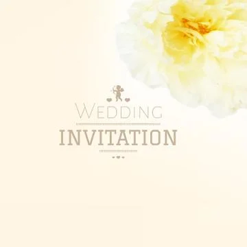Wedding Invitation Stock Illustration